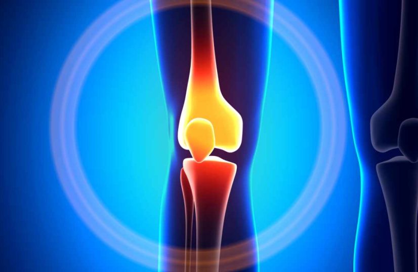 Depositphotos_58734785_xl-2015-2